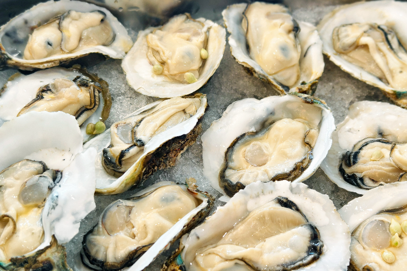 附图2：项目出产的“刺身级”高品质生蚝.jpg