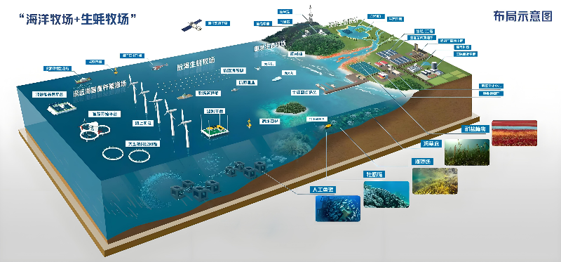 附图4：“风渔融合”现代化海洋牧场.jpg