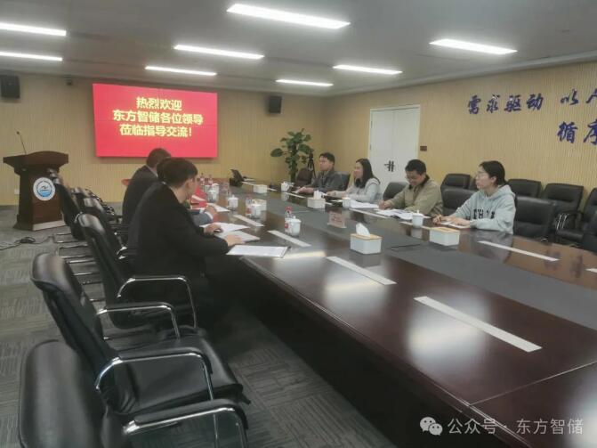 东方智储与龙子湖新能源实验室深化合作，共拓全钒液流储能新场景