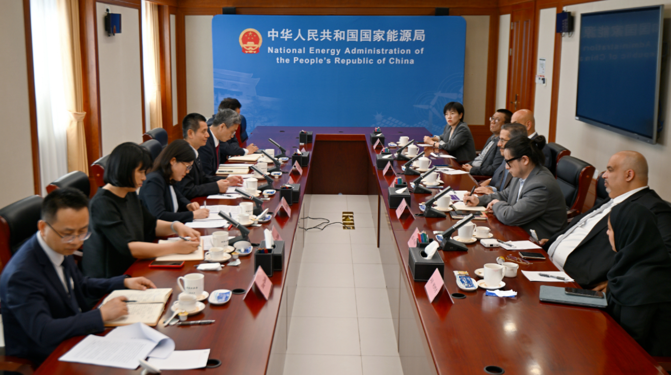 国家能源局负责人会见沙特国际电力和水务公司董事长
