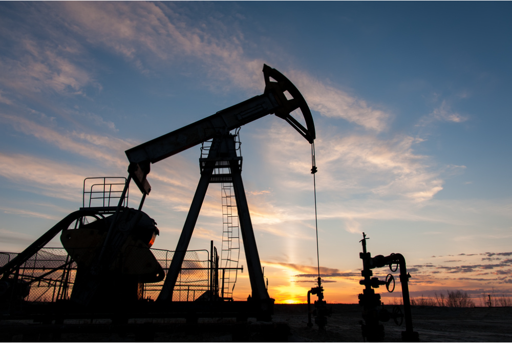 俄副总理：“欧佩克+”成员国将在12月前自愿限制石油开采量