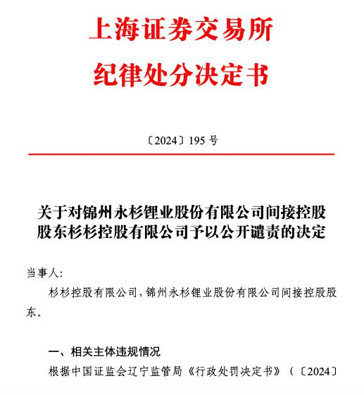 永杉锂业间接控股股东杉杉控股违规控股，被上交所公开谴责