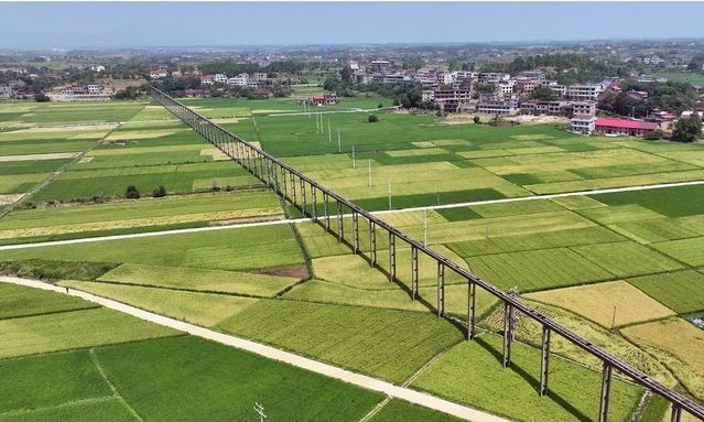 中国能建葛洲坝生态环保公司中标湖南省岳阳市临湘市高标准农田项目