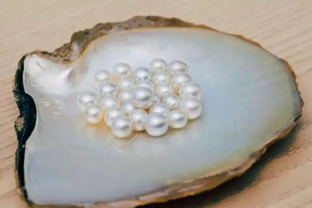 核电站搞出新副业，产珍珠！