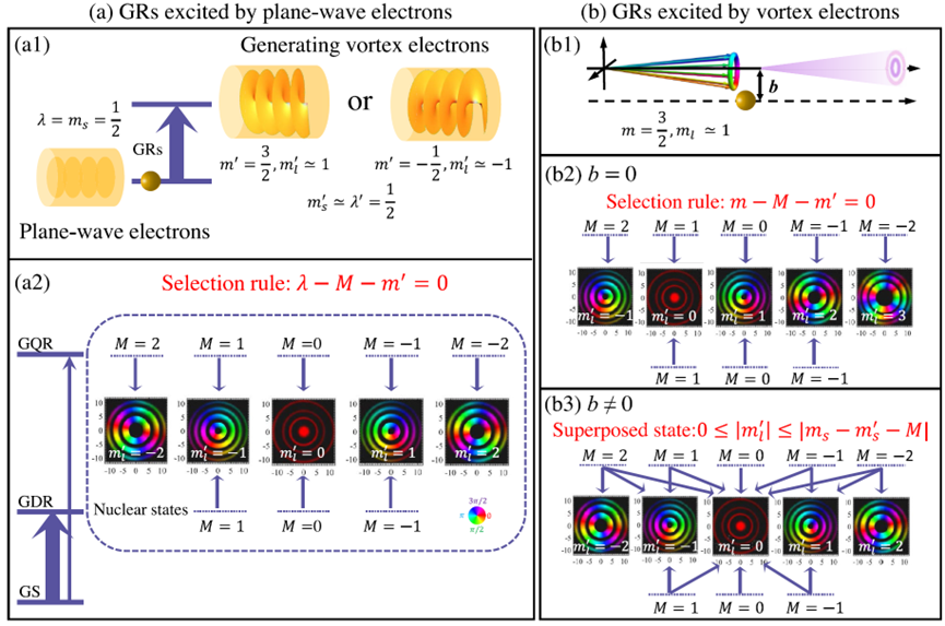兰州大学核结构与核天体团队在电子激发原子核巨共振研究方面取得重要进展