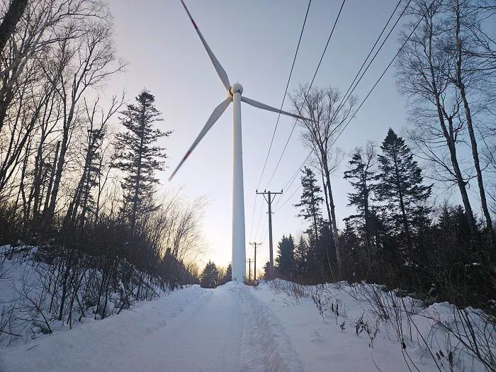 三峡集团一季度新能源发电量创新高