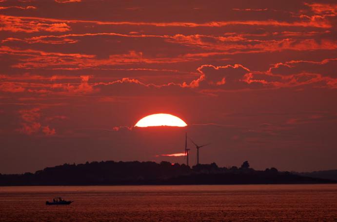 伍德麦肯兹因特朗普政策将美国 5 年风电前景下调 40%