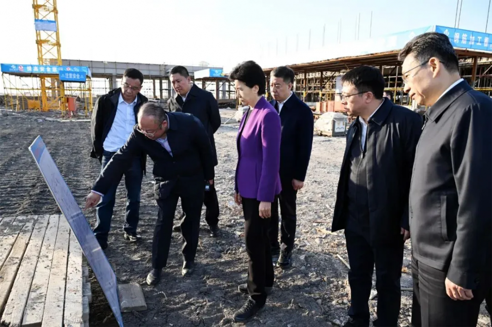黑龙江省长梁惠玲赴中国天楹安达风光储氢氨醇一体化项目调研