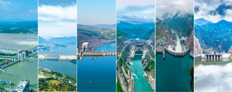 乌东德、白鹤滩、溪洛渡水电站年度叠梁门分层取水生态调度试验正有序推进