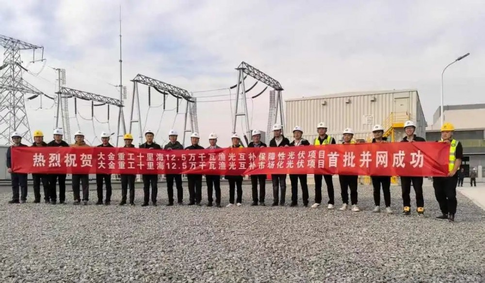 大金唐山光伏+储能项目首批并网成功