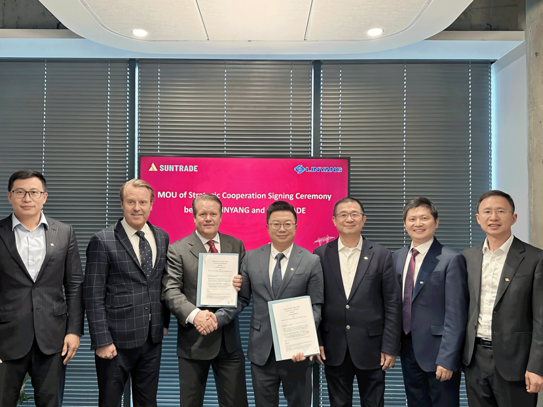 林洋能源与瑞典Suntrade集团签署战略合作协议 拟向林洋能源采购300MWh储能系统产品