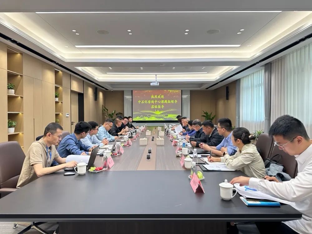 中国石化咨询中心到访国富氢能