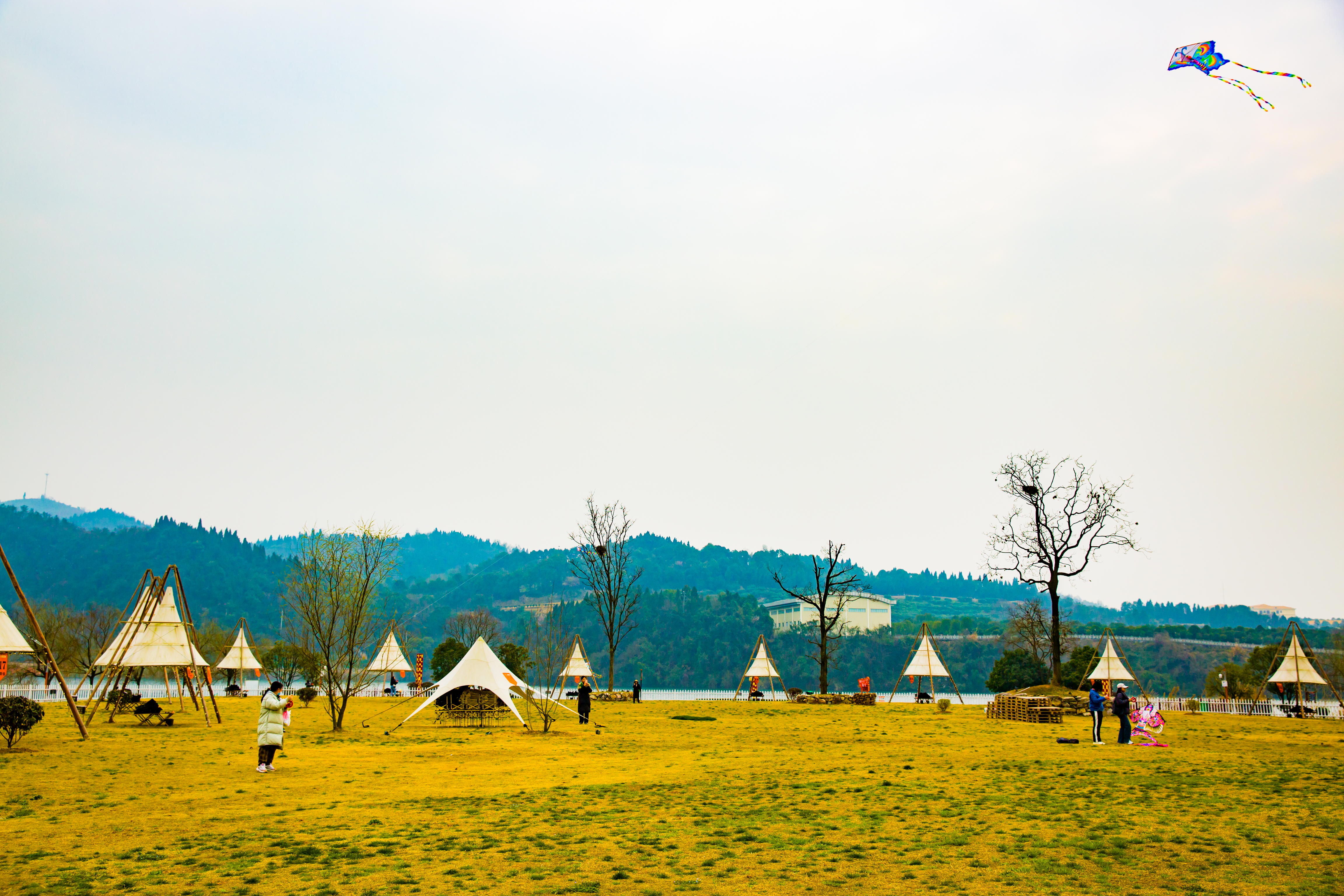 时评｜好风凭借力 实干建新功