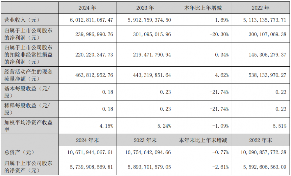 万里扬2024年新型储能业务营收增长超400%