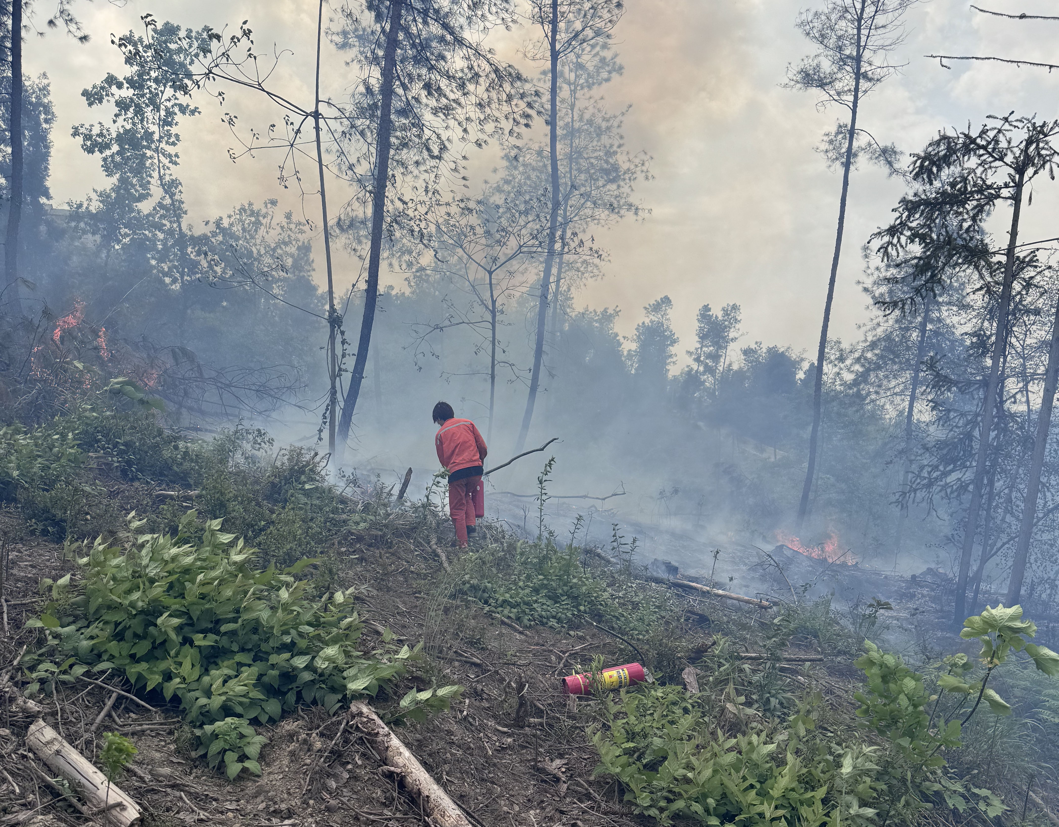 中国能建葛洲坝机电公司：紧急驰援森林火灾