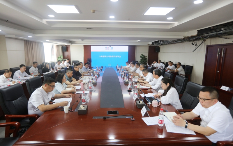 陈刚赴三峡建设公司督导“稳增长”工作