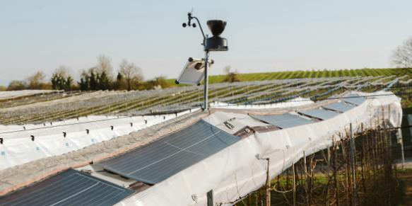 弗劳恩霍夫 ISE 在标准防风雨罩上测试农业光伏发电