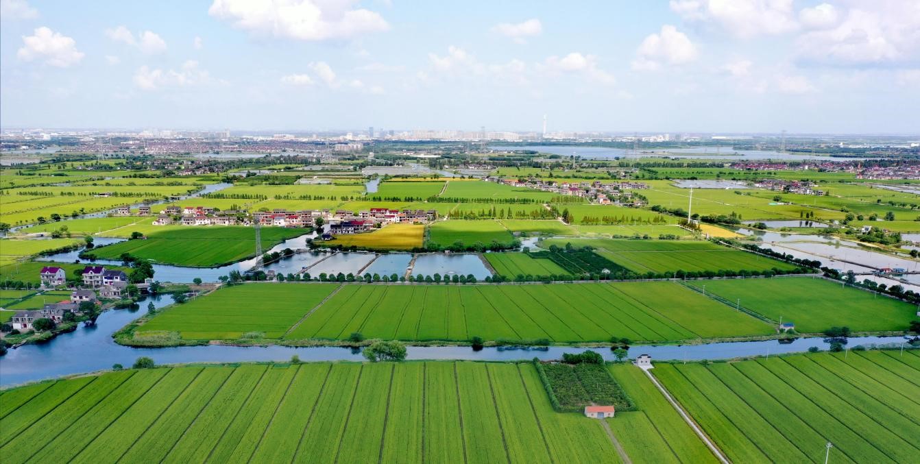 科技助农  智“绘”未来