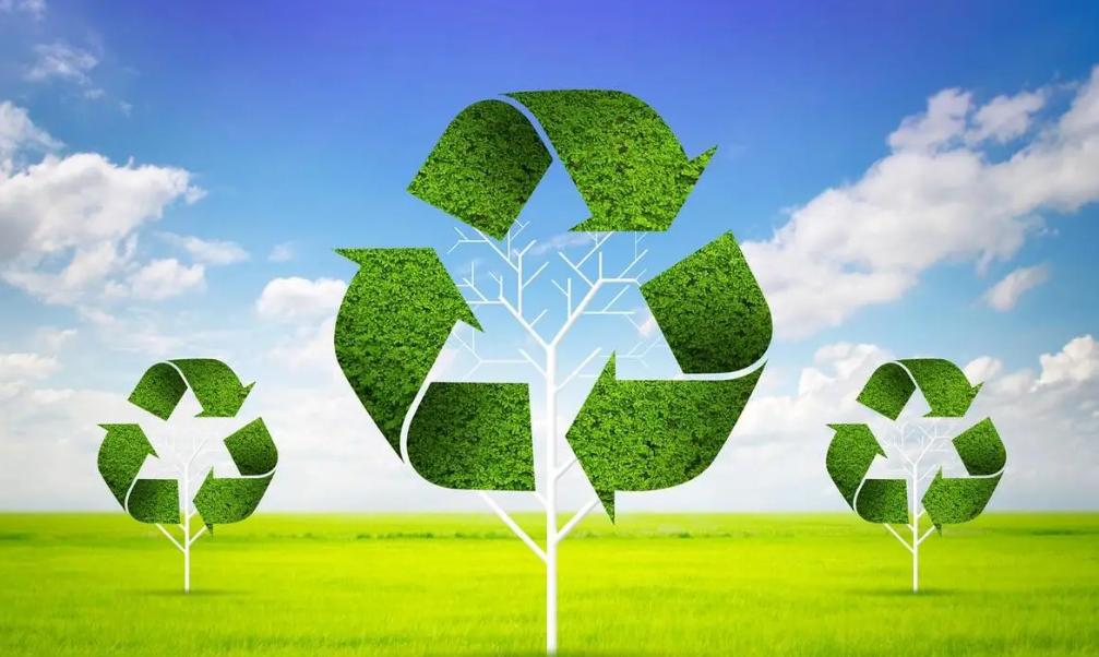 中国优质绿色产能助力世界能源转型