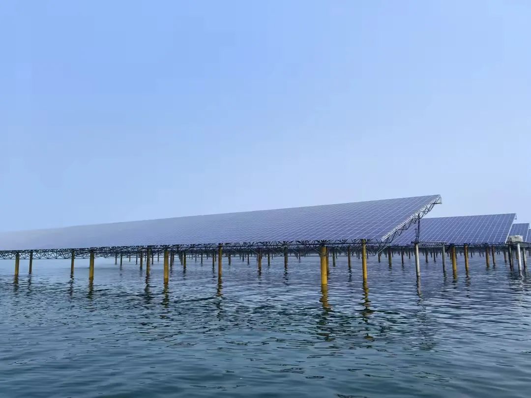 我国首个桩基固定式海上光伏项目并网发电