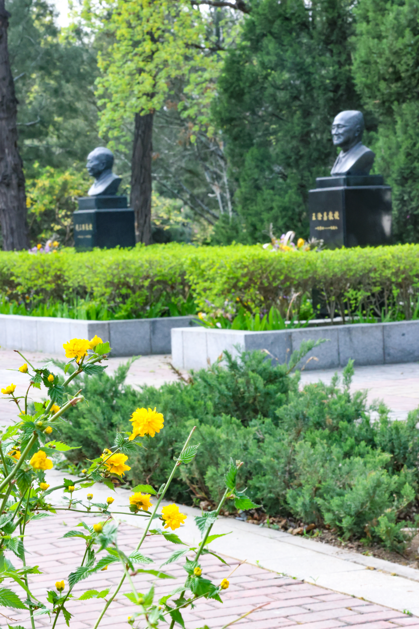 中国原子能科学研究院：聚核能之光 育文明之魂