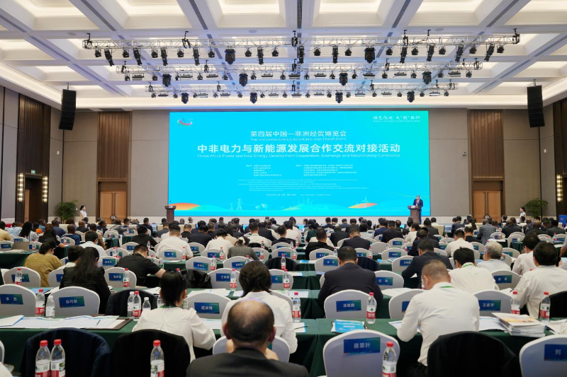 倪真应邀出席第四届中国—非洲经贸博览会并作主题发言