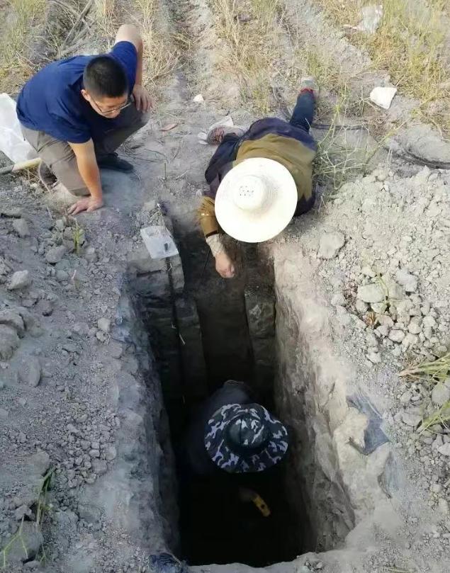 重大突破！新疆发现近千公里“硒腰带”