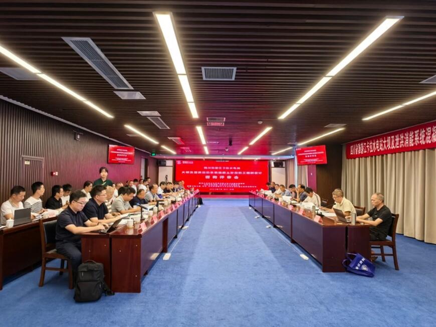 卡拉电站大坝混凝土施工设计通过评审