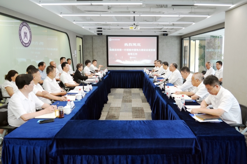 倪真与中电建协会长王思强会谈