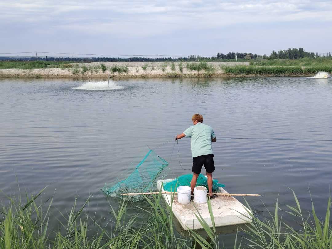 【经济日报】治水兴水看新疆丨以水兴业释放发展动能