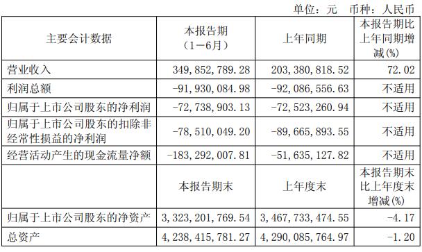华盛锂电2025年上半年实现营业总收入3.5亿元 同比增长72.02%