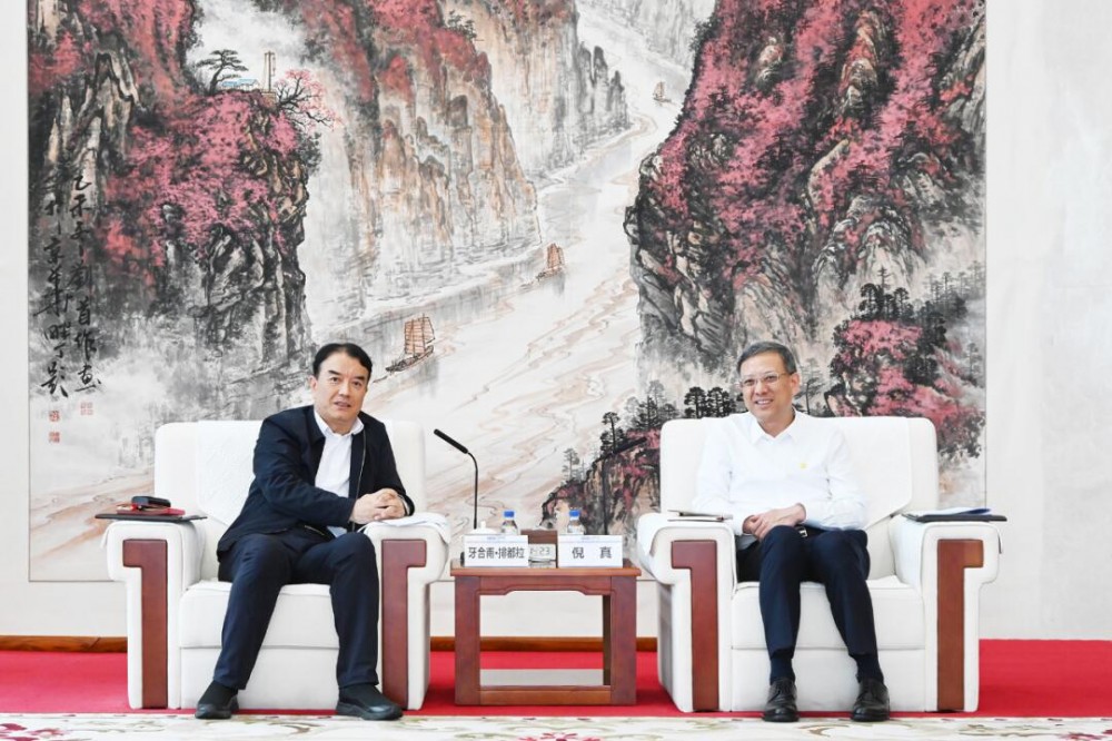 倪真与新疆乌鲁木齐市委副书记、市长牙合甫·排都拉会谈！深化绿色氢氨醇等领域合作