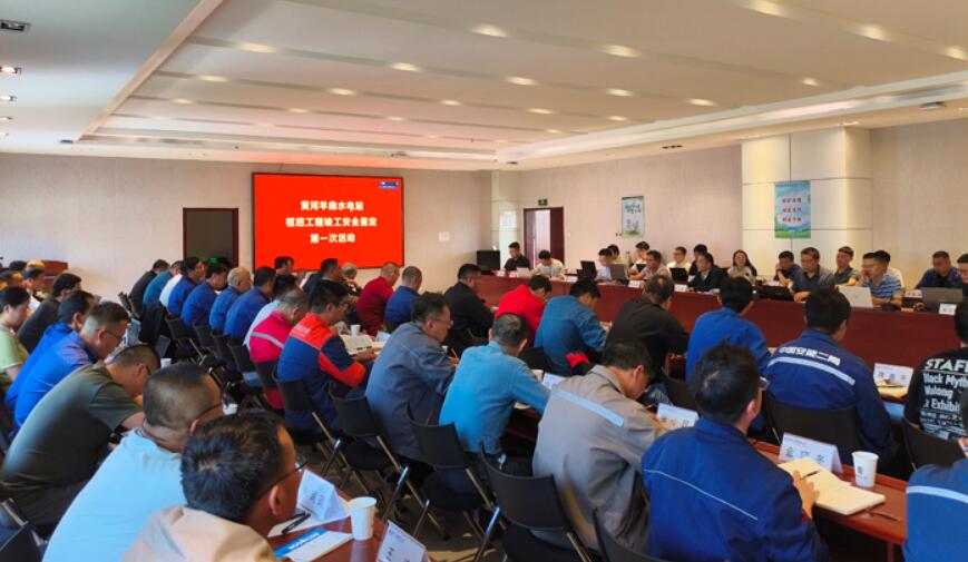 羊曲水电站正式进入竣工安全鉴定阶段