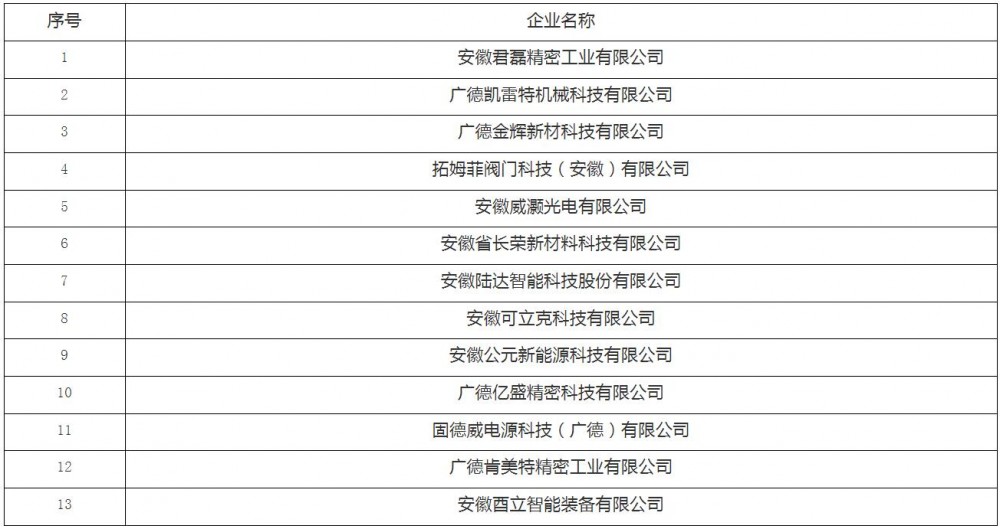 13家光储企业入选！安徽广德市公示奖补名单
