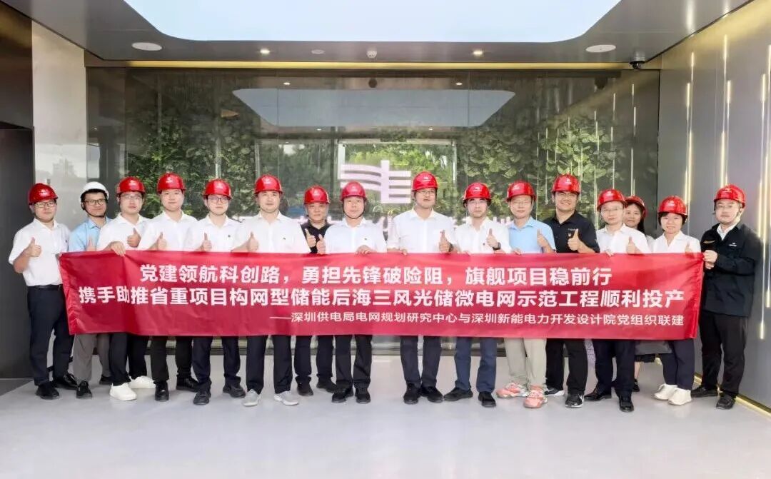 国内首套变电站构网型风光储一体化系统投运！禾望筑牢配网保供电安全屏障