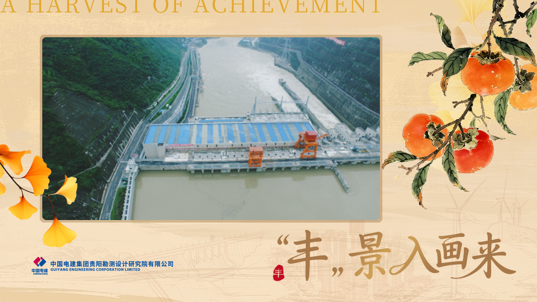 大渡河枕头坝一级水电站顺利通过竣工验收