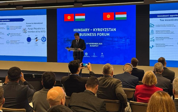 匈牙利与吉尔吉斯斯坦签署300兆瓦太阳能发电项目合作协议