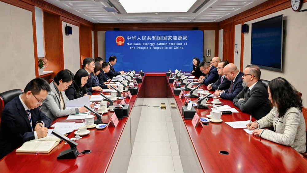 国家能源局负责人会见沙特阿美高级副总裁