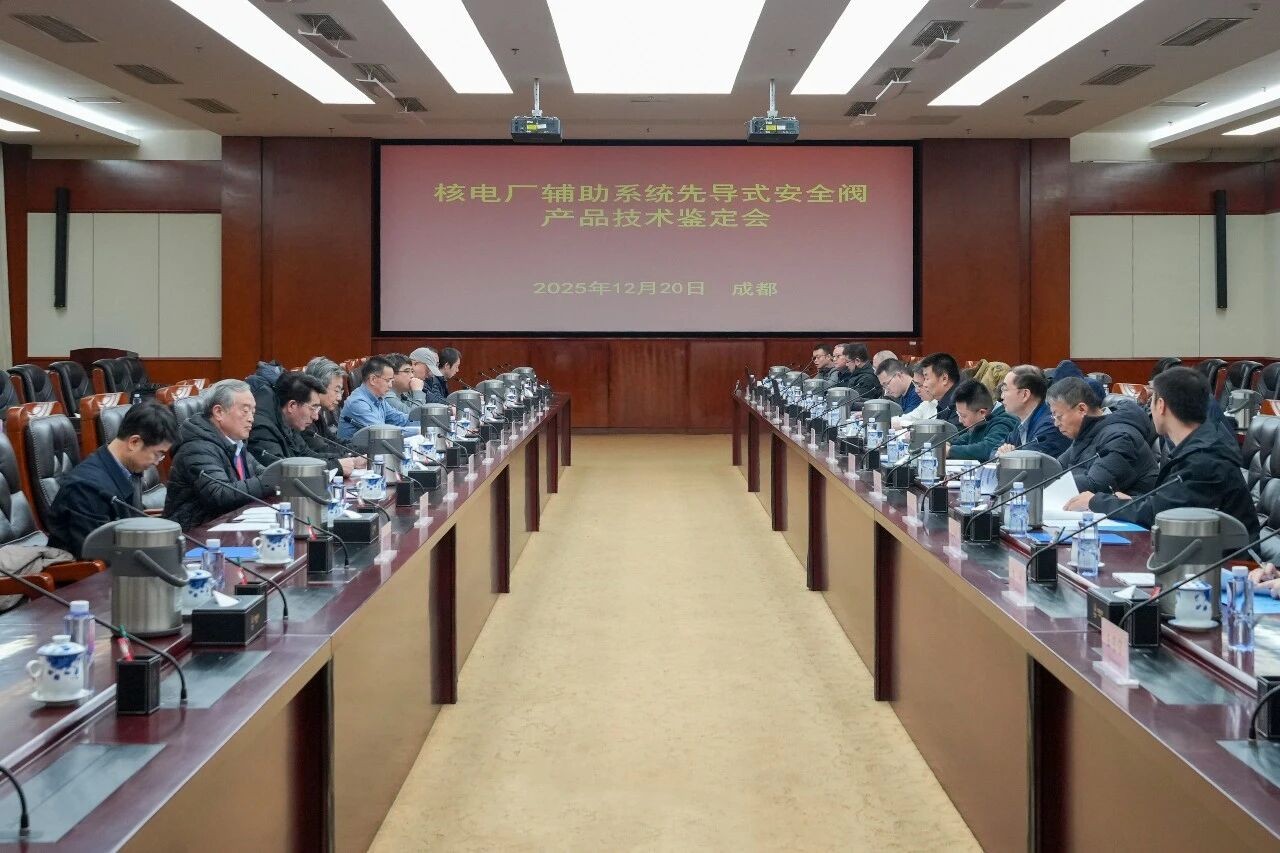 华龙一号核辅助系统先导式安全阀通过技术鉴定