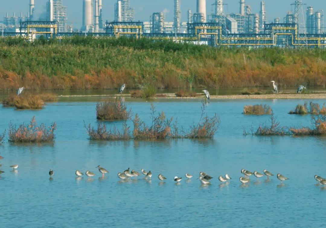 《习近平生态文明思想实践案例》出版发行，中国核电案例入选