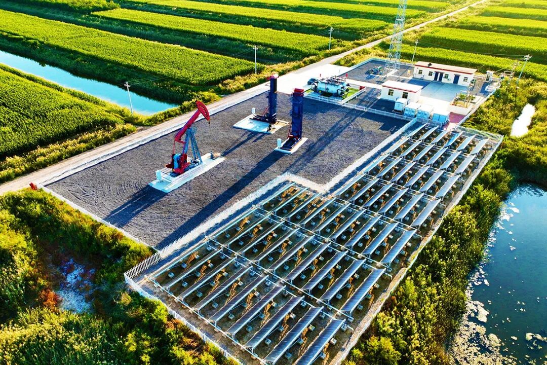 中国石化胜利油田河口采油厂这项成果获省级荣誉