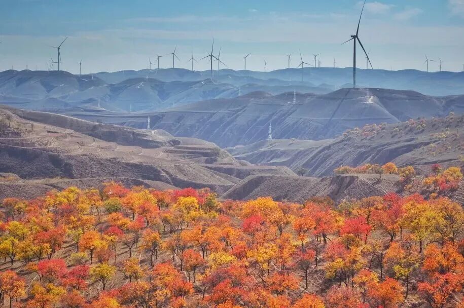 “绿”动“十五五”！见证电建铁军“风”之印记