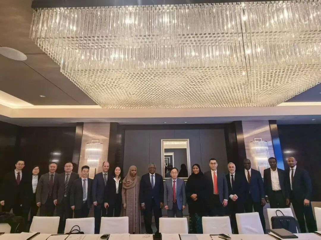 丹格特集团董事长阿里科·丹格特与厚普股份董事长王季文在京会面