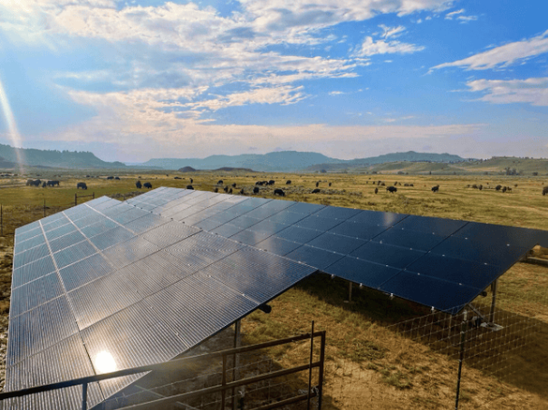 北夏延部落采用离网太阳能系统为水牛牧场供电