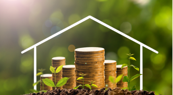 尼日利亚中小企业可再生能源保险推出 助力清洁能源转型