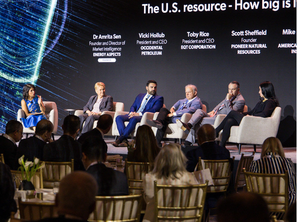 劳拉·斯韦特呼吁推进能源许可改革，禁止州否决天然气管道许可