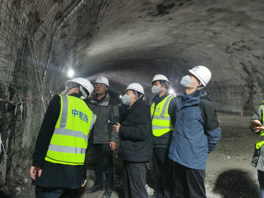 《湖南攸县抽水蓄能电站地下厂房顶拱安全性评估物探工作报告》通过审查 规划总院主持审查会