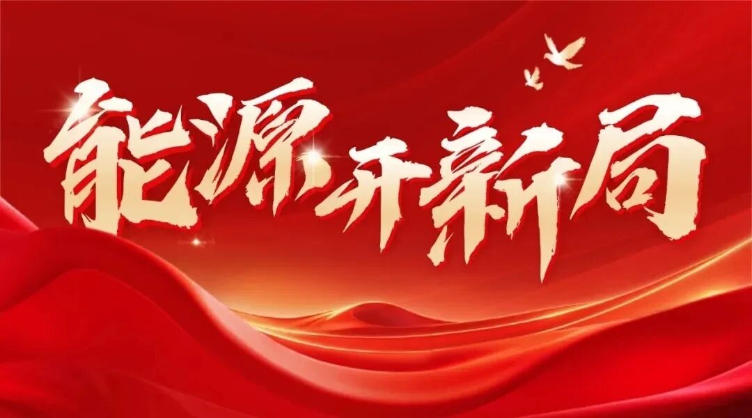 国家能源局可靠性和质监中心主任武英利：全面提升电力建设工程质量监督能力