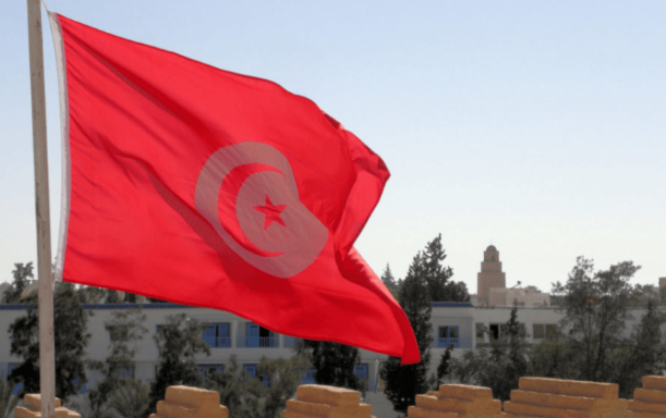 突尼斯工业、矿业和能源部在凯比利省巴兹马地区启动300兆瓦太阳能加储能项目招标