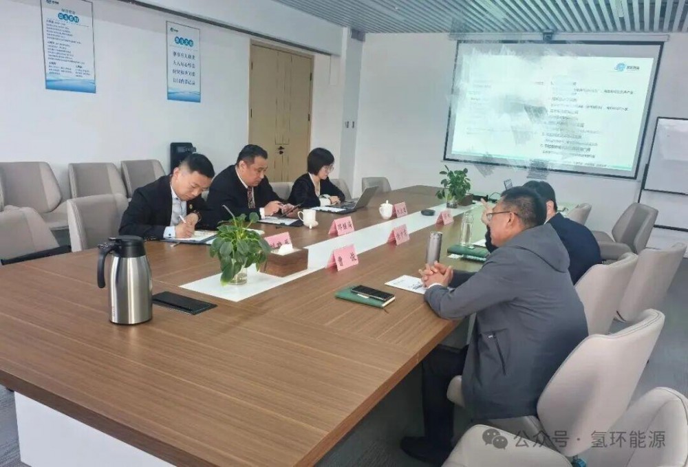 国际绿色经济协会执行会长一行到访氢环能源